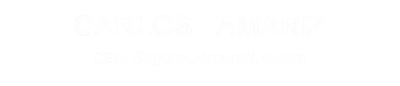 seguros para empresas