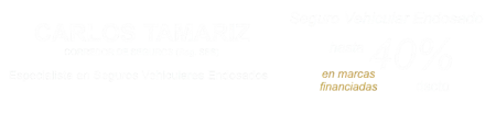 seguro vehicular endosado